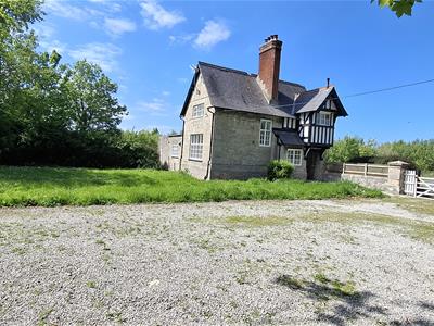 Picture 21